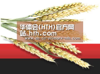 华体会(HTH)官方网站_hth.com