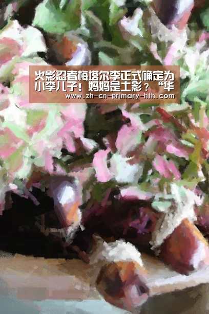 华体会官方网站入口