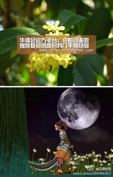 华体会体育app下载