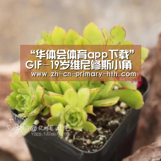 “华体会体育app下载”GIF-19岁维尼修斯小角度破门!皇马1-0领先巴萨(图3) 华体会官方网站入口