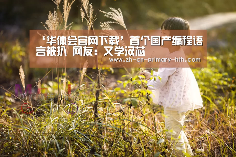 ‘华体会官网下载’首个国产编程语言被扒 网友:又学汉芯(图4) 华体会官方平台