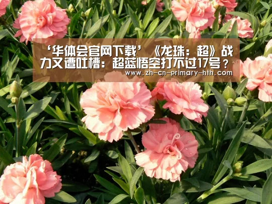 华体会官网下载