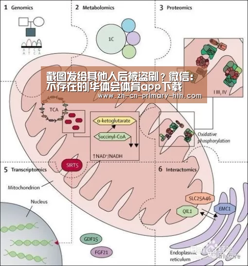 华体会官方网站入口