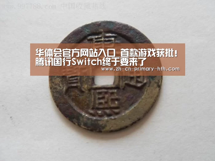 华体会官网下载