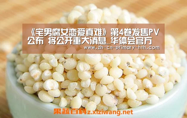 《宅男腐女恋爱真难》第4卷发售PV公布 将公开重大消息_华体会官方平台